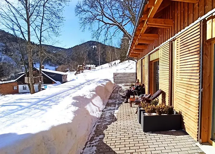 Apartment Ski-in Ski-out Mountain Duplex Portasky2 By Interhome
