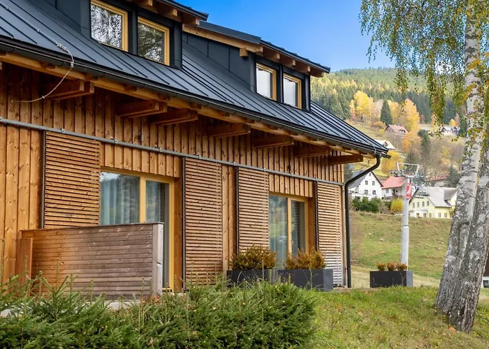 Appartement Ski-in Ski-out Mountain Duplex Portasky2 By Interhome *
