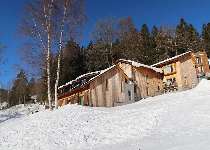 Ski-in Ski-out Mountain Duplex Portasky2 By Interhome Appartement Pec pod Sněžkou