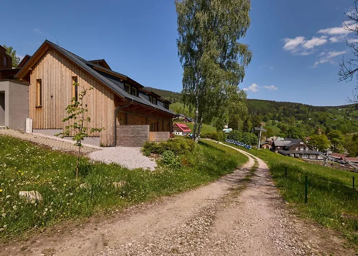Appartement Ski-in Ski-out Mountain Duplex Portasky2 By Interhome *